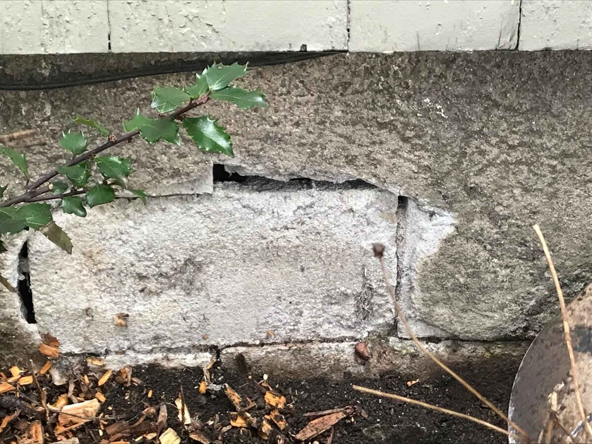 Concrete steps and walkway construction